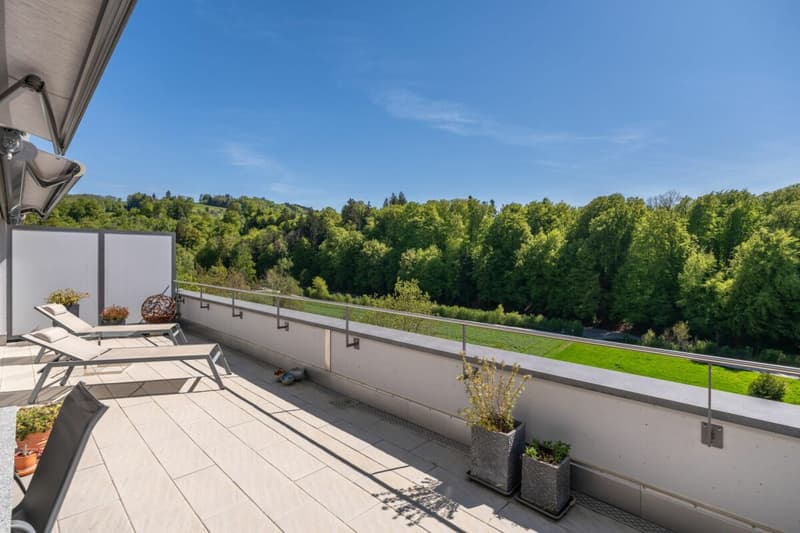Living with a view - exclusive terrace apartment in Utzigen (3)