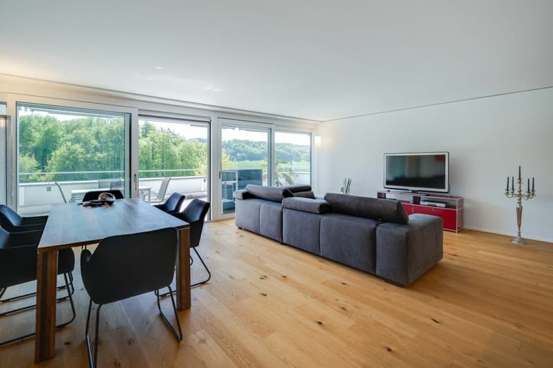 Living with a view - exclusive terrace apartment in Utzigen (9)