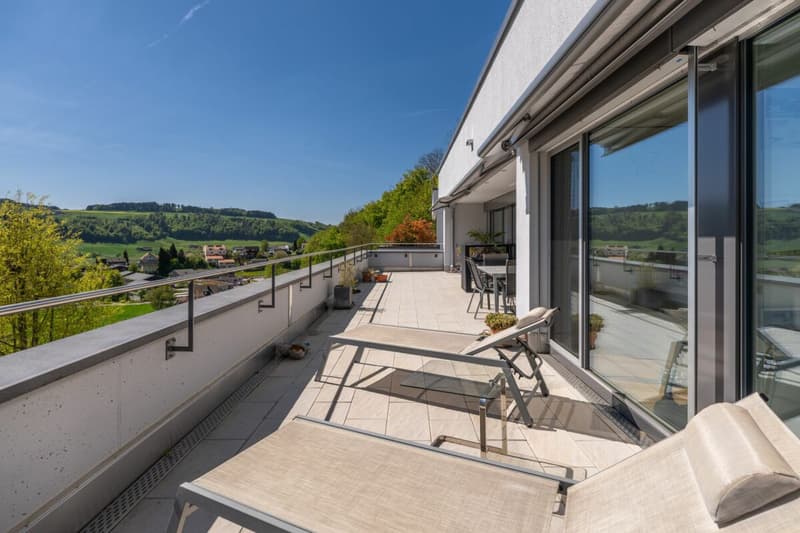 Living with a view - exclusive terrace apartment in Utzigen (2)
