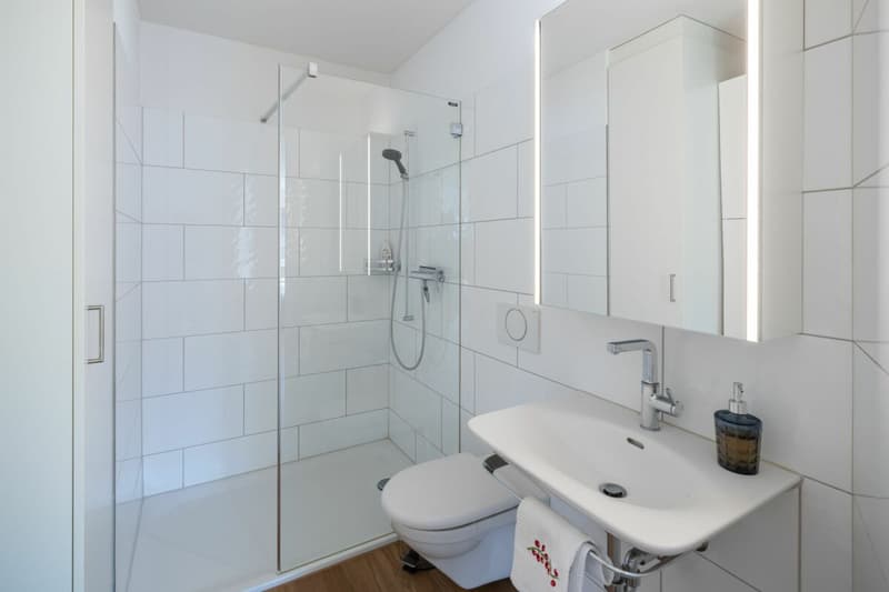 Stilvolles Wohnen mit Weitsicht - Exklusive 4.5 Zimmer Eigentumswohnung in Zollikofen (11)