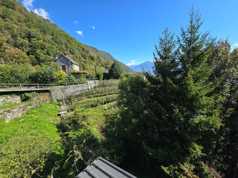 Terreno edificabile di 1029 m2 con vista lago panoramica (8)