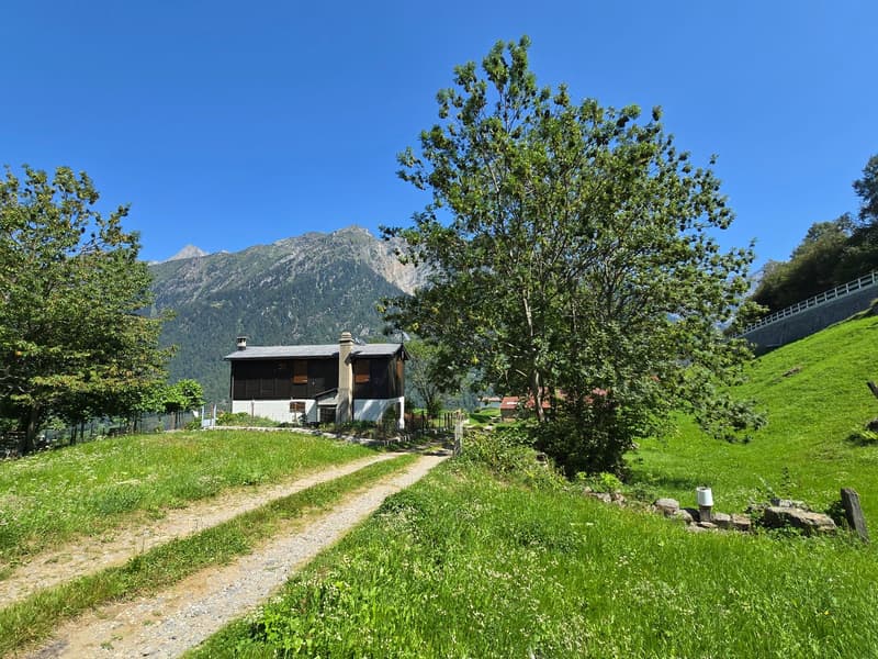 Grosser Stall zu renovieren mit Zugang, Grundstück und herrlicher Aussicht (13)