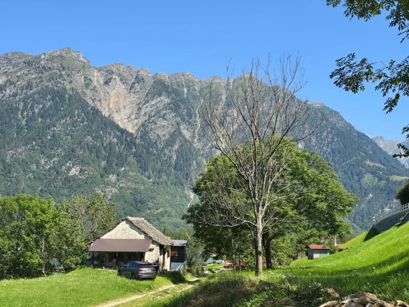 Grosser Stall zu renovieren mit Zugang, Grundstück und herrlicher Aussicht (6)