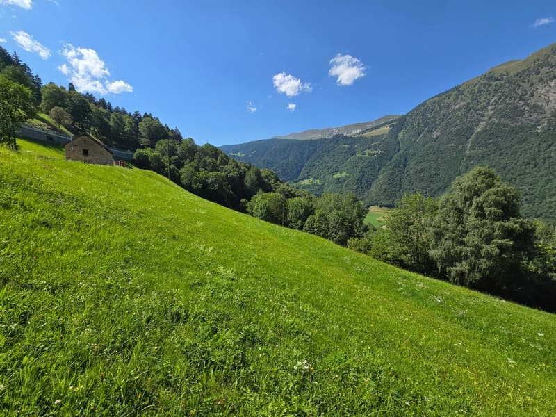 Grosser Stall zu renovieren mit Zugang, Grundstück und herrlicher Aussicht (4)