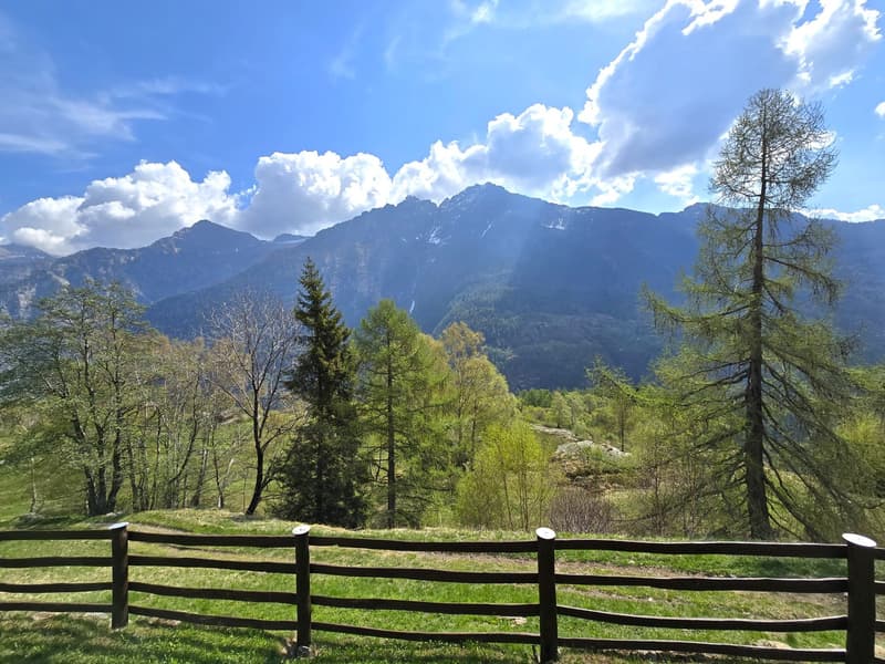 schöne Berghütte inmitten der Natur mit schöner Panoramablick (24)