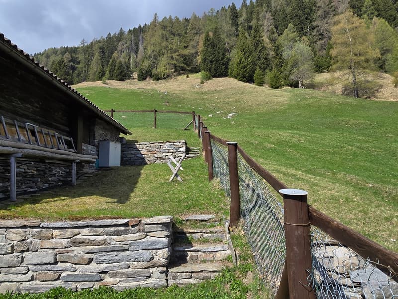 schöne Berghütte inmitten der Natur mit schöner Panoramablick (20)