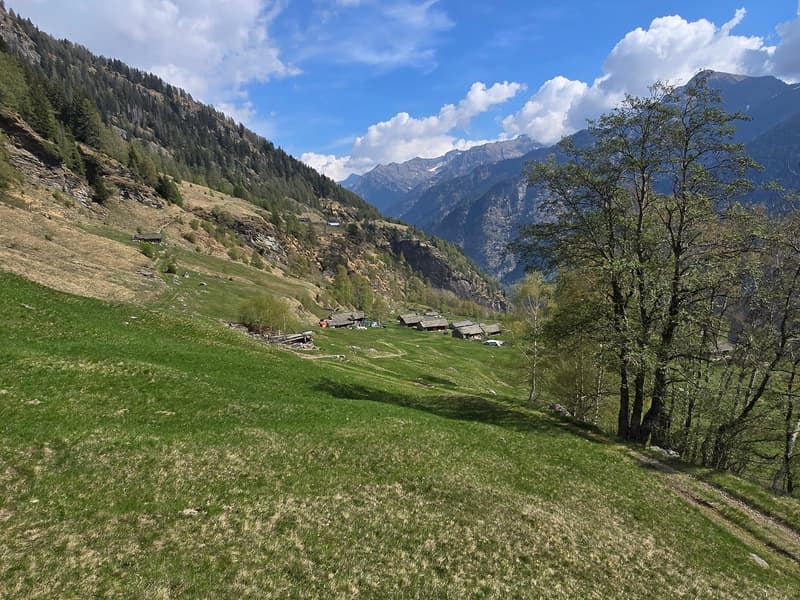 schöne Berghütte inmitten der Natur mit schöner Panoramablick (25)