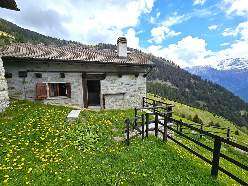 schönes Berghaus inmitten der Natur mit herrlichem Panoramablick (3)