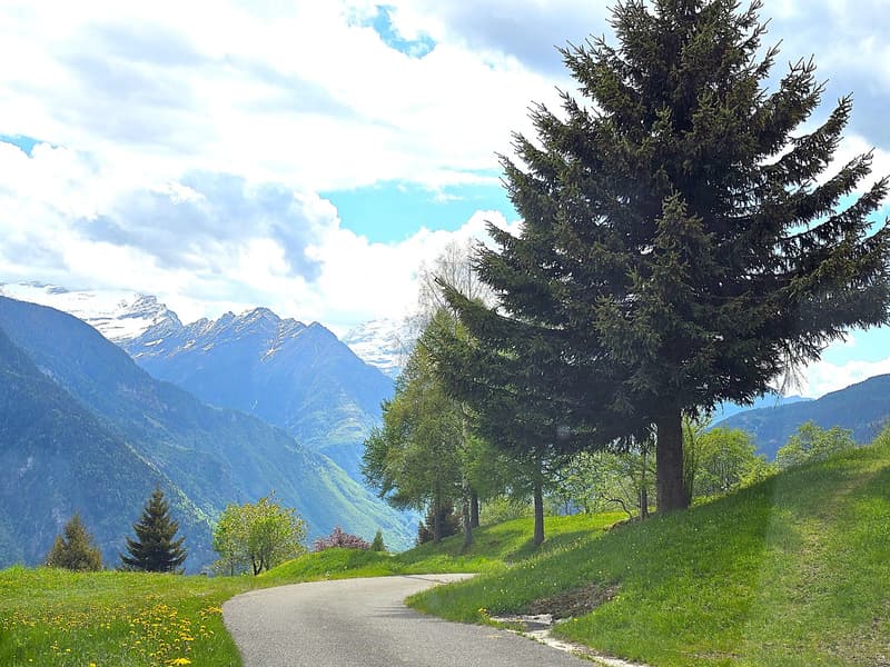 schönes Berghaus inmitten der Natur mit herrlichem Panoramablick (25)