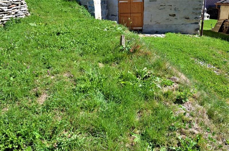 Teilweise renoviertes Rustico mit Baugenehmigung und Grundstück (10)