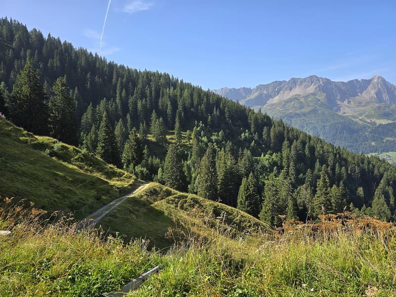 schönes Berghaus inmitten der Natur mit Grundstück und herrlicher Aussicht (26)