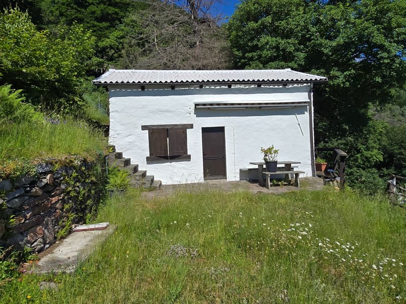 Bauernhaus inmitten der Natur mit Panorama Seeblick (2)