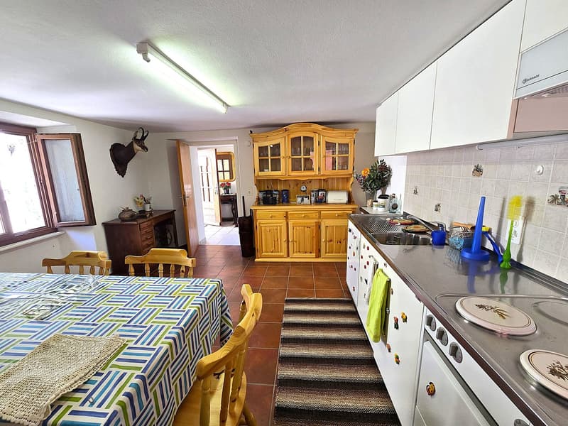 schönes Haus mit Dachterrasse an einem sonnigen und ruhigen Ort (11)