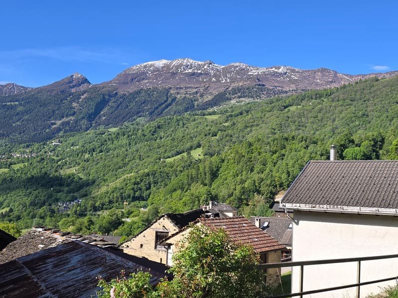 schönes Haus mit Dachterrasse an einem sonnigen und ruhigen Ort (28)