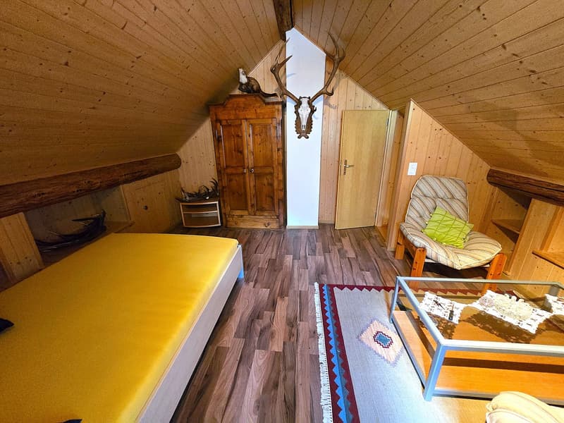 schönes Haus mit Dachterrasse an einem sonnigen und ruhigen Ort (19)