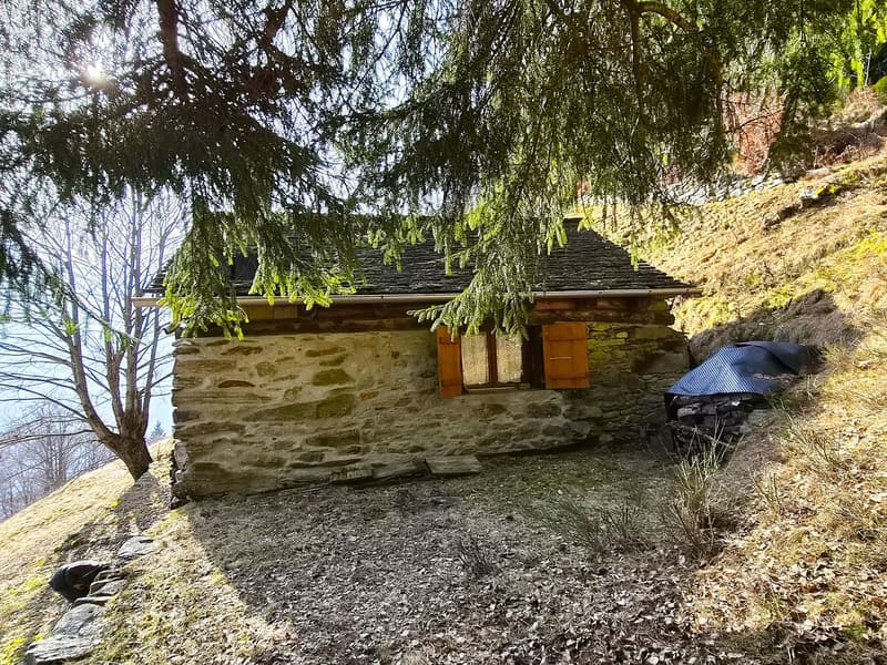schönes Berghaus inmitten der Natur mit schöner Panoramablick (3)