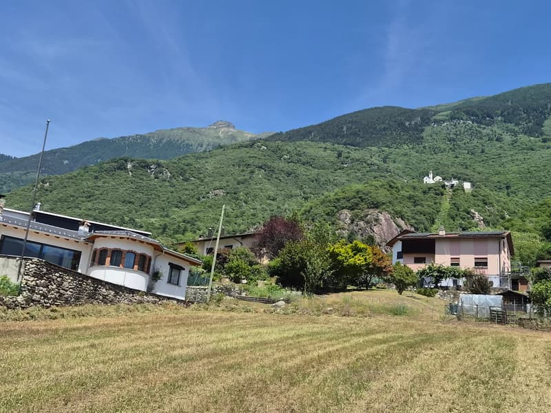 Terreno edificabile di 1559 m2 pianeggiante, soleggiato e tranquillo (11)