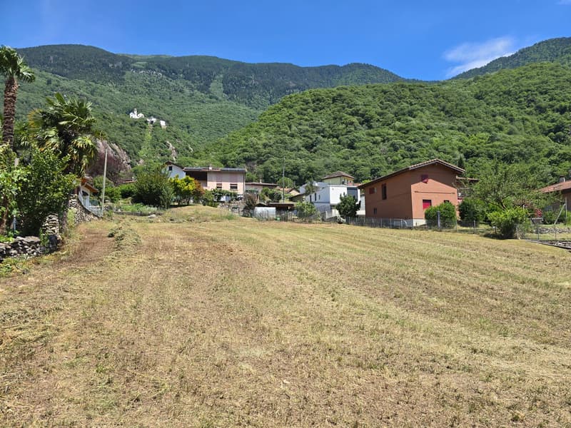 Terreno edificabile di 1559 m2 pianeggiante, soleggiato e tranquillo (4)