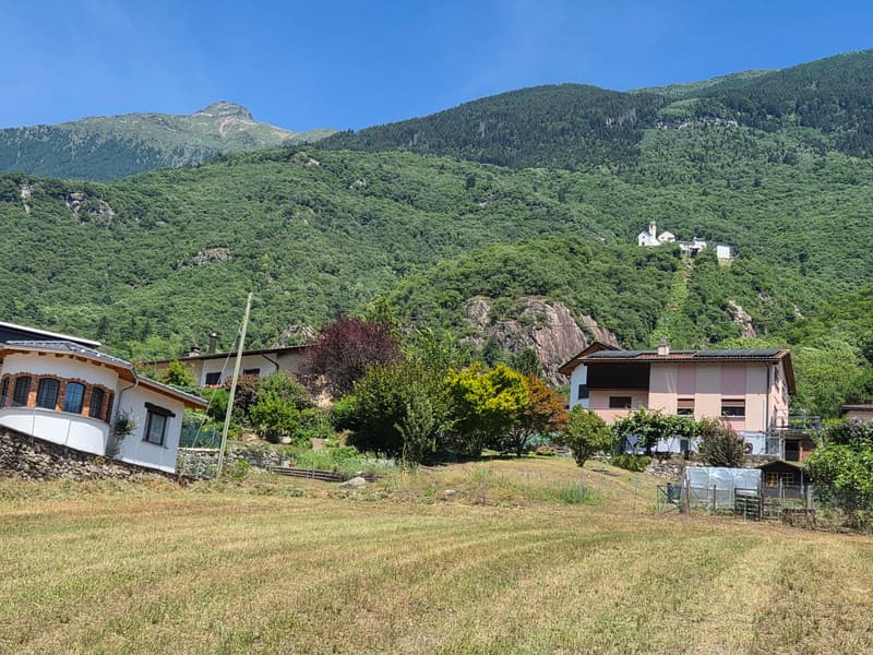 Terreno edificabile di 1559 m2 pianeggiante, soleggiato e tranquillo (6)