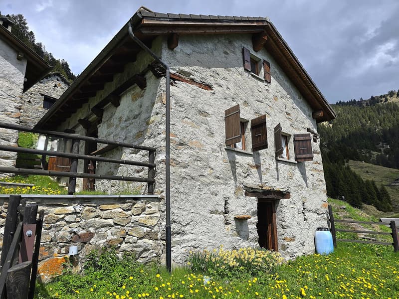 schönes Berghaus inmitten der Natur mit herrlichem Panoramablick (1)