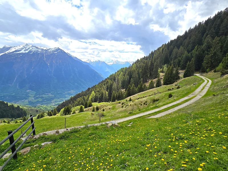 schönes Berghaus inmitten der Natur mit herrlichem Panoramablick (23)