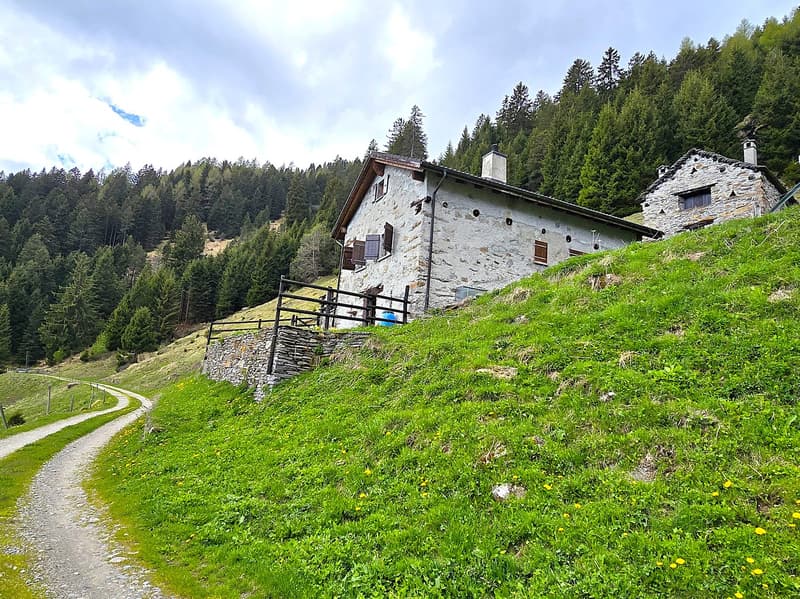 schönes Berghaus inmitten der Natur mit herrlichem Panoramablick (5)