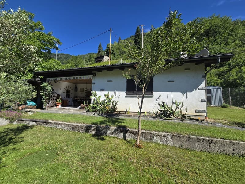 Haus inmitten der Natur mit Grundstück mit herrlicher Aussicht (2)