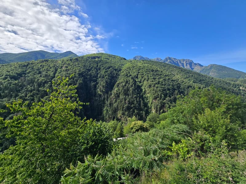 Haus inmitten der Natur mit Grundstück mit herrlicher Aussicht (30)
