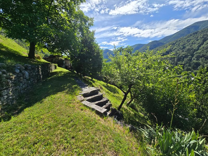 Haus inmitten der Natur mit Grundstück mit herrlicher Aussicht (26)