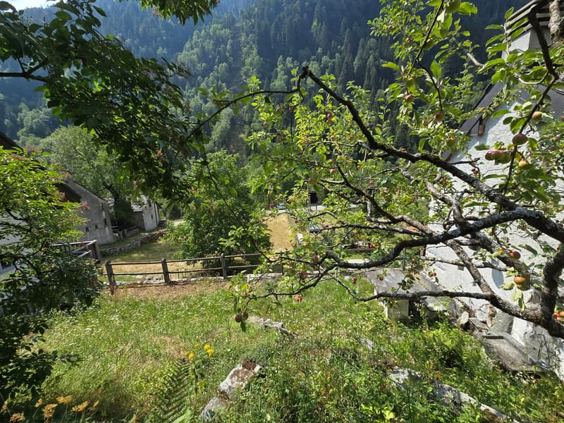 Wunderschönes Landhaus mit Garten und herrlicher Aussicht (26)