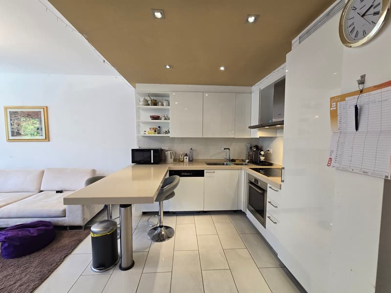 Helle 2,5-Zi. Wohnung mit Seeblick mit Terrasse und Parkplatz (9)