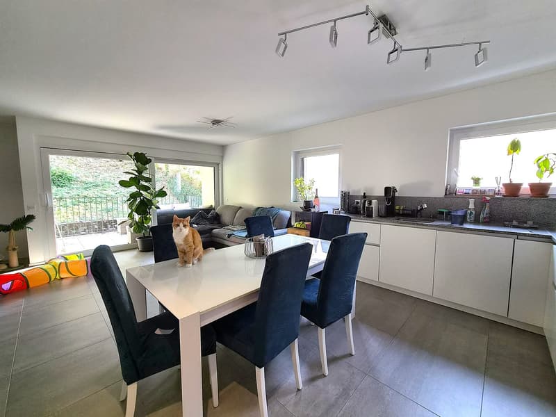 Spazioso appartamento 4,5 loc. con giardino privato (6)