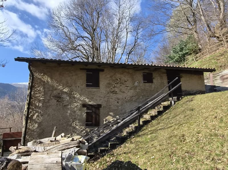 Schönes Bauernhaus inmitten der Natur mit Grundstück (4)