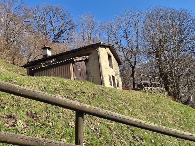 Schönes Bauernhaus inmitten der Natur mit Grundstück (3)