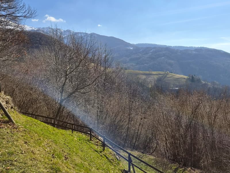 Schönes Bauernhaus inmitten der Natur mit Grundstück (27)