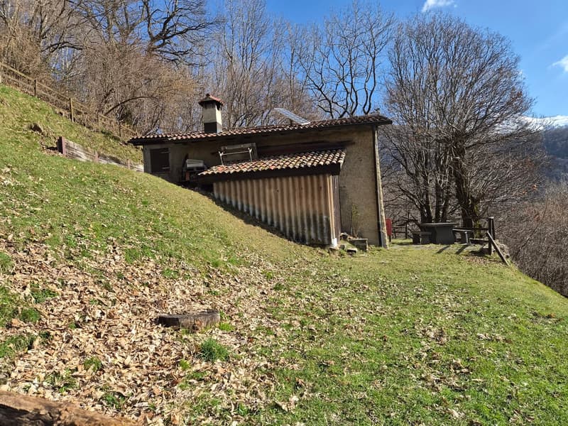 Schönes Bauernhaus inmitten der Natur mit Grundstück (23)