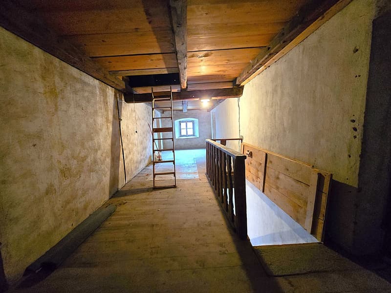 Charmantes historisches Haus mit grossem Grundstück (21)