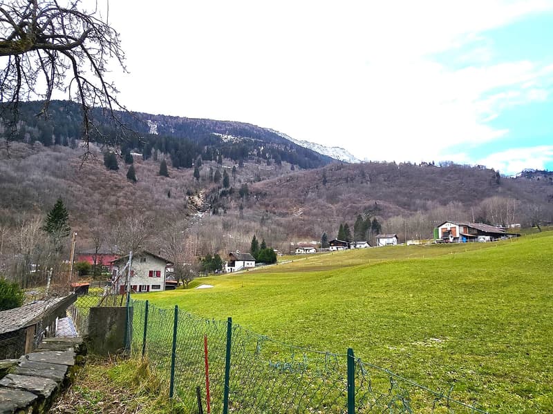 Charmantes historisches Haus mit grossem Grundstück (31)