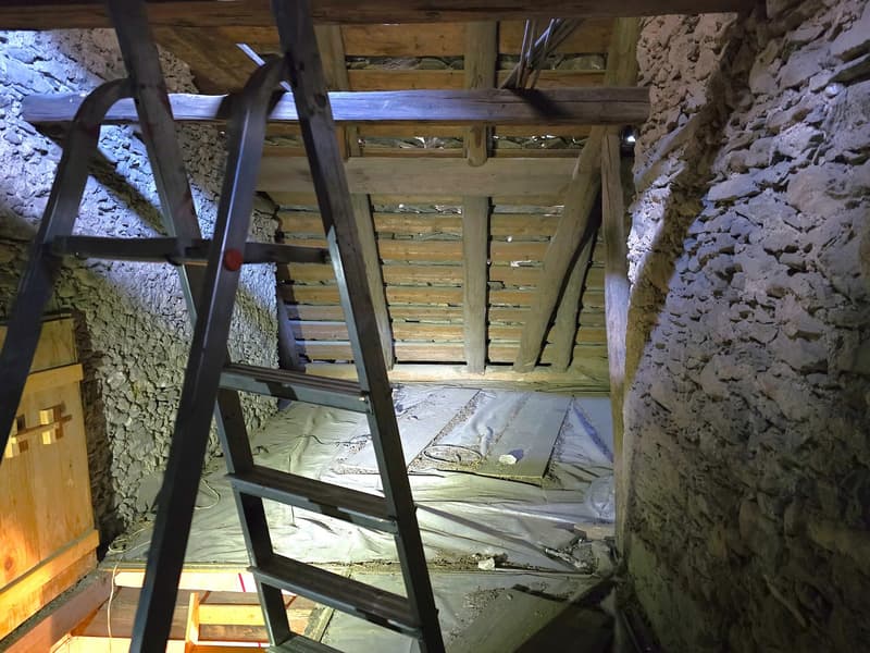 Charmantes historisches Haus mit grossem Grundstück (24)