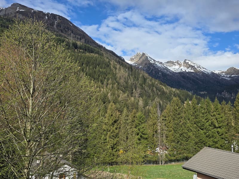 Schönes Doppelchalet mit Grundstück in der Nähe von San Bernardino (52)