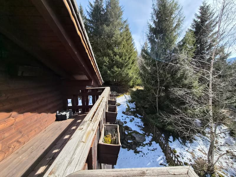 Schönes Doppelchalet mit Grundstück in der Nähe von San Bernardino (8)