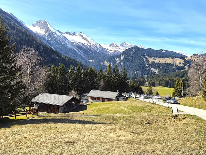 Schönes Doppelchalet mit Grundstück in der Nähe von San Bernardino (50)