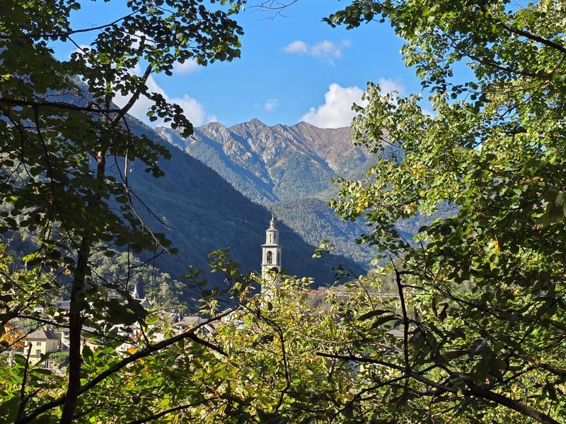 Rustico inmitten der Natur mit Land und schöner Aussicht (19)