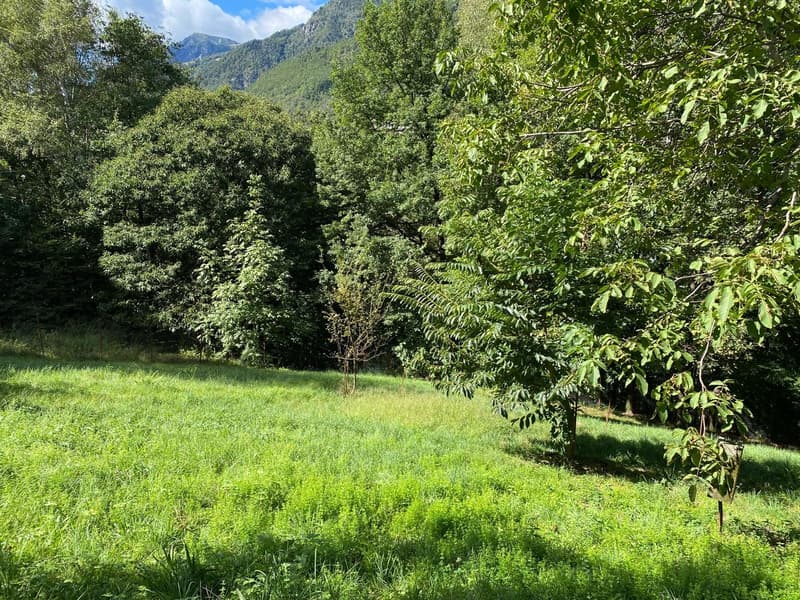 Rustico inmitten der Natur mit Land und schöner Aussicht (16)