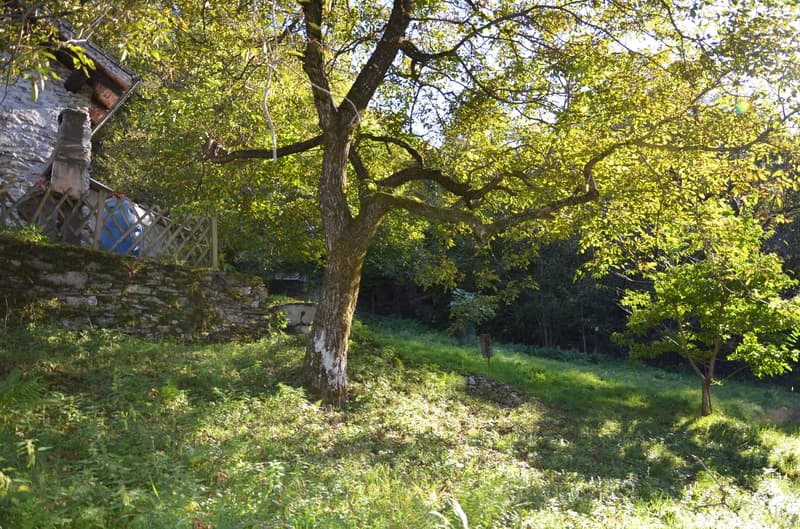 Rustico inmitten der Natur mit Land und schöner Aussicht (15)