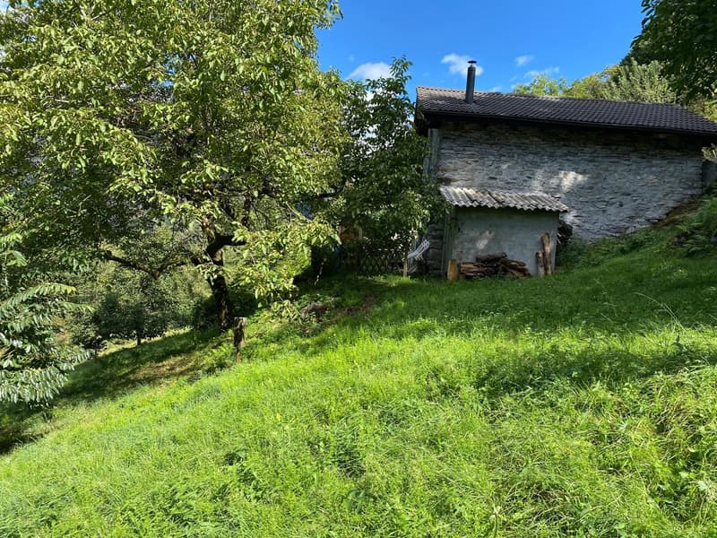 Rustico inmitten der Natur mit Land und schöner Aussicht (25)