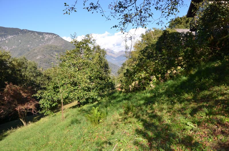 Rustico inmitten der Natur mit Land und schöner Aussicht (17)