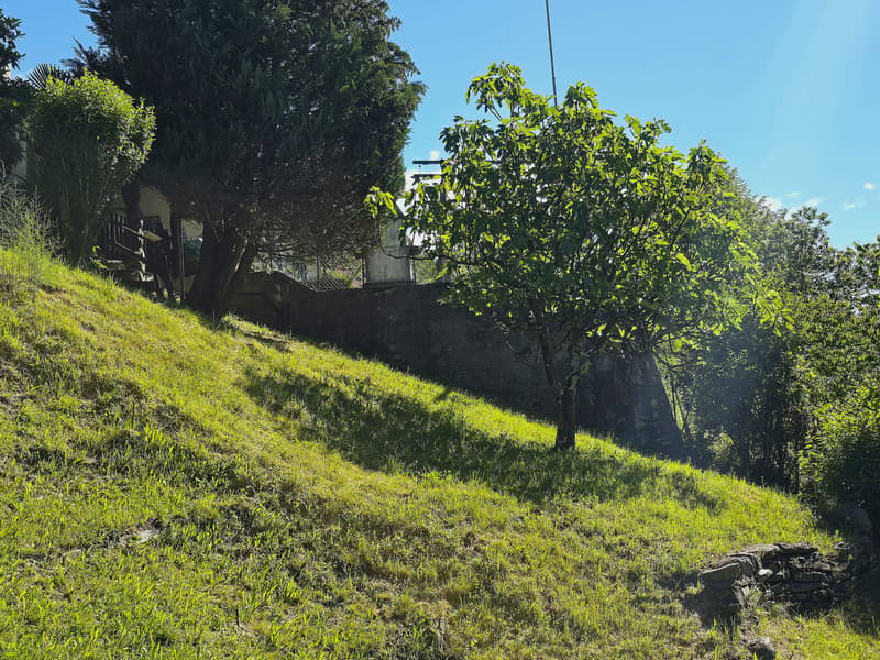 Haus inmitten der Natur mit Grundstück mit herrlicher Aussicht (28)