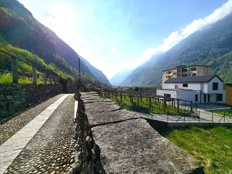 NUOVO PREZZO! anche RENT TO BUY. Moderna villa bifamiliare con ampio giardino, (29)