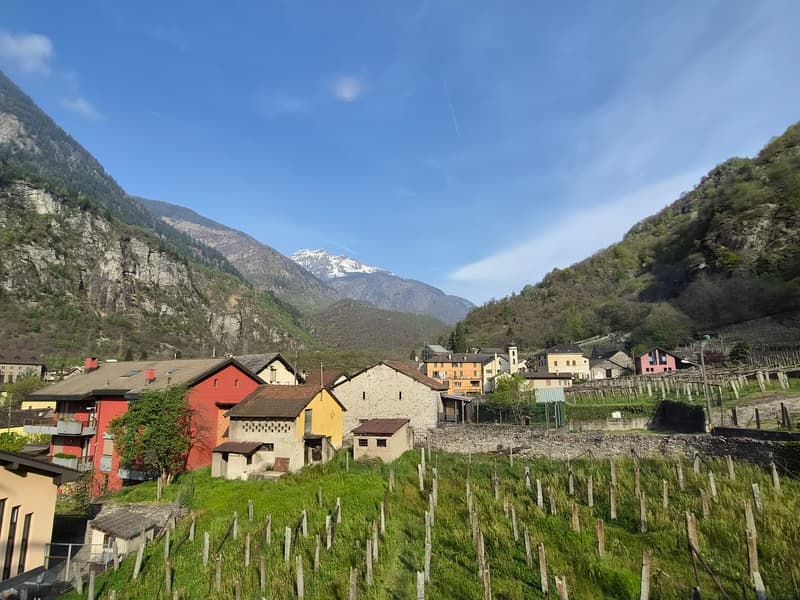 NUOVO PREZZO! anche RENT TO BUY. Moderna villa bifamiliare con ampio giardino, (30)